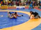 Чемпионат РК по вольной борьбе стартовал в Щучинске