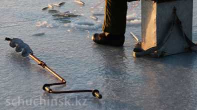 В Щучинске, трое рыбаков насмерть отравились угарным газом на озере Щучье