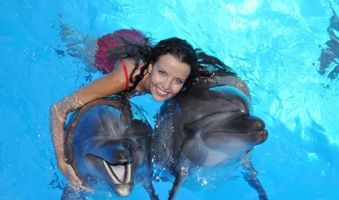 Дельфинарий в Боровом, дельфинарий в Бурабае