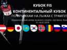В Щучинске пройдут первые в истории международные соревнования по прыжкам на лыжах с трамплина - летние FIS-Кубок и Континентальный Кубок FIS!