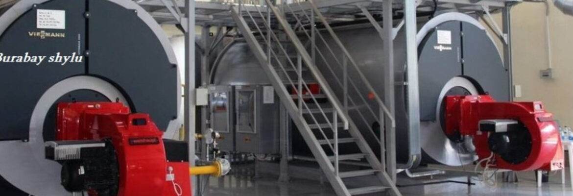 Жаңа Тұрмыс 2020